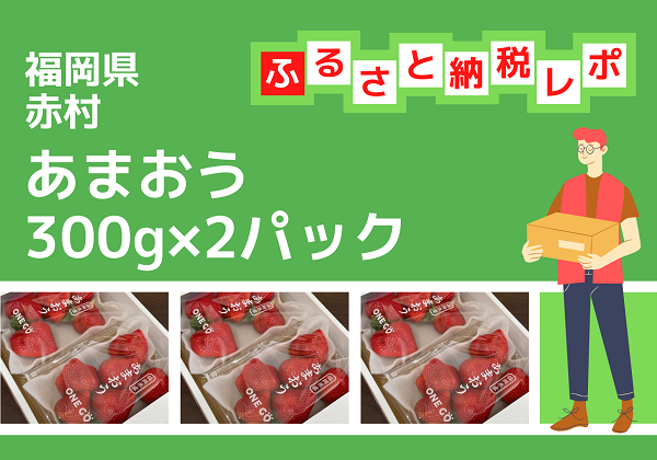 ふるさと納税 福岡県赤村 あまおう300g×2パック ONE GO