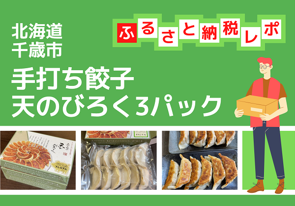 北海道千歳市 ふるさと納税 返礼品 手打ち餃子天のびろく3パック