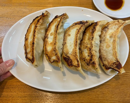 宇都宮餃子 びっくり餃子 中華トントン ジャンボびっくり餃子