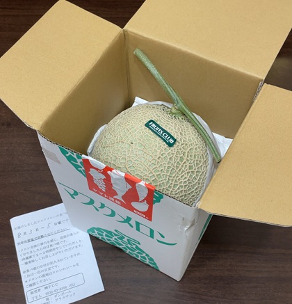 テイエステック 株主優待 静岡・愛知県産メロン1玉
