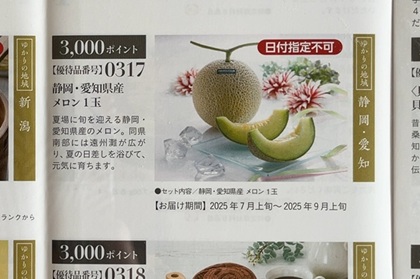 テイエステック 株主優待 静岡・愛知県産メロン1玉 カタログ