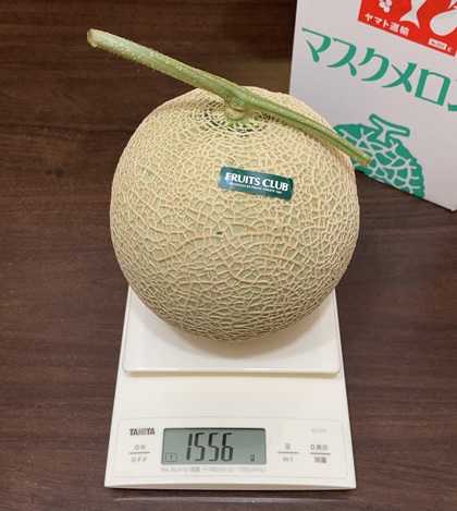 テイエステック 株主優待 メロン 重さ 重量