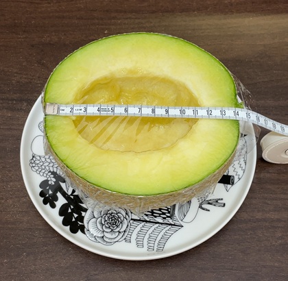 テイエステック 株主優待 メロン サイズ