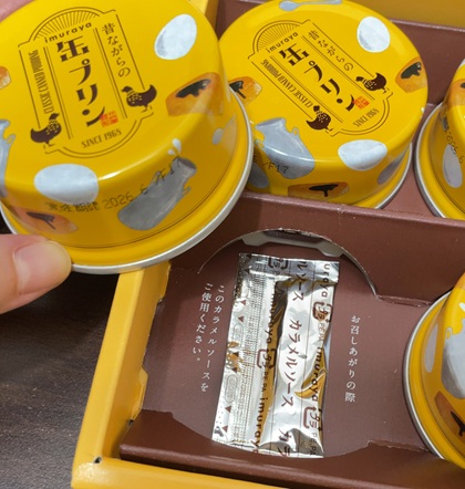テイエステック 株主優待 井村屋 昔ながらの缶プリン