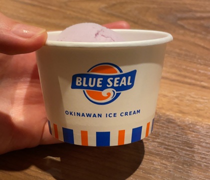 琉球酒場 渋谷ちゃんぷる~ 宴会コース