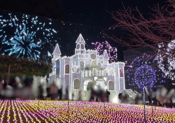 オリオンツアー 【群馬・栃木】キラッキラの秋！特選牛すき焼きと甘エビ食べ放題＆あしかがフラワーパーク「光の花の庭」イルミネーション＆秋の味覚ダブル「りんご狩り！野菜詰め放題！」 あしかがフラワーパーク