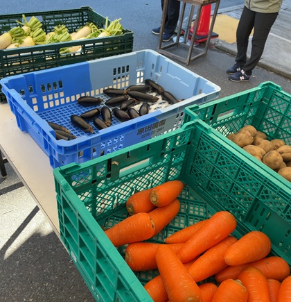 オリオンツアー 【群馬・栃木】キラッキラの秋!特選牛すき焼きと甘エビ食べ放題&あしかがフラワーパーク「光の花の庭」イルミネーション&秋の味覚ダブル「りんご狩り!野菜詰め放題!」 原田農園 野菜詰め放題