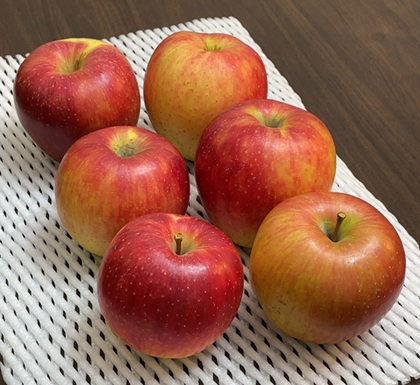 バスツアー りんご狩り おみやげ