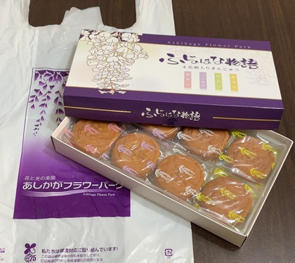 あしかがフラワーパーク ふじのはな物語