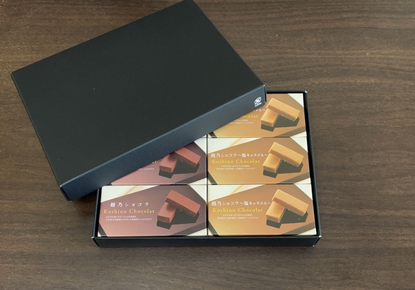 アルコニックス 株主優待 越乃ショコラアソート ビター 塩キャラメル