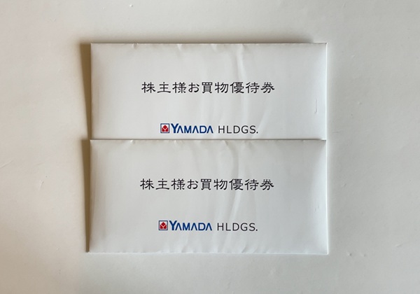 ヤマダホールディングス 株主優待