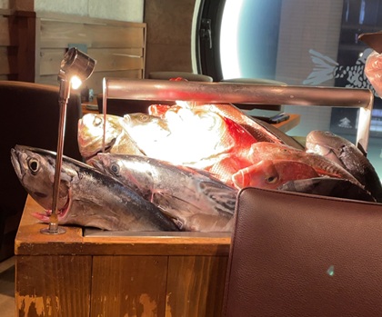 エー・ピーホールディングス 株主優待 なきざかな 新宿はなれ 選べる鮮魚の岡持ちコース 岡持ち鮮魚