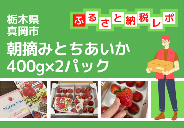 栃木県真岡市 ふるさと納税 返礼品 朝摘み とちあいか