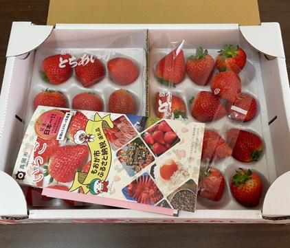 栃木県真岡市 ふるさと納税 返礼品 朝摘み とちあいか