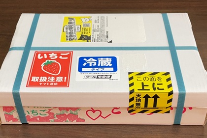 栃木県真岡市 ふるさと納税 返礼品 朝摘み とちあいか