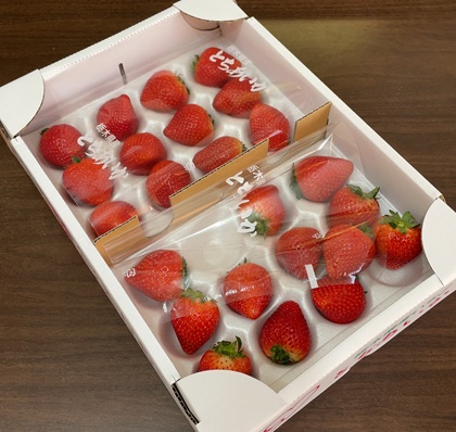 栃木県真岡市 ふるさと納税 返礼品 朝摘み とちあいか