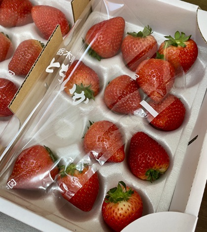 栃木県真岡市 ふるさと納税 返礼品 朝摘み とちあいか