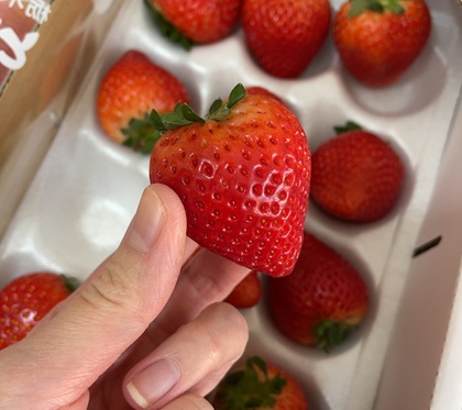 栃木県真岡市 ふるさと納税 返礼品 朝摘み とちあいか