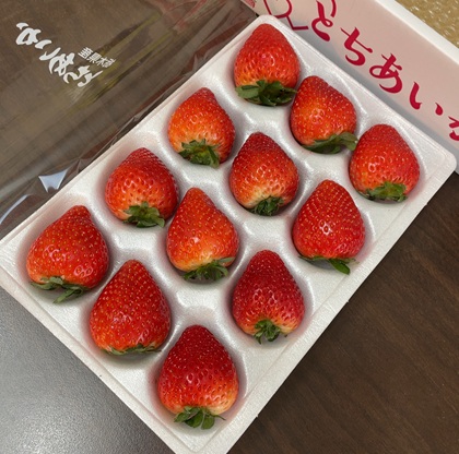 栃木県真岡市 ふるさと納税 返礼品 朝摘み とちあいか