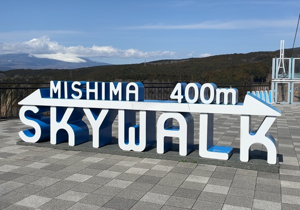 オリオンツアー 【静岡・神奈川】富士を望む箱根・三島の旅！絶景の空中散歩「三島スカイウォーク」×パワースポット「箱根神社」＆いちご狩り食べ放題 三島スカイウォーク