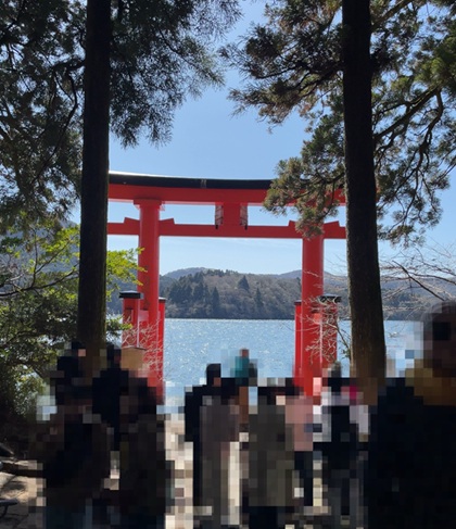 オリオンツアー 【静岡・神奈川】富士を望む箱根・三島の旅!絶景の空中散歩「三島スカイウォーク」×パワースポット「箱根神社」&いちご狩り食べ放題 箱根神社