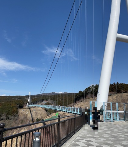オリオンツアー 【静岡・神奈川】富士を望む箱根・三島の旅!絶景の空中散歩「三島スカイウォーク」×パワースポット「箱根神社」&いちご狩り食べ放題 三島スカイウォーク