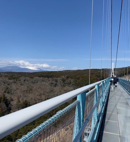 オリオンツアー 【静岡・神奈川】富士を望む箱根・三島の旅!絶景の空中散歩「三島スカイウォーク」×パワースポット「箱根神社」&いちご狩り食べ放題 三島スカイウォーク