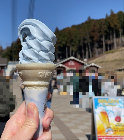 オリオンツアー 【静岡・神奈川】富士を望む箱根・三島の旅!絶景の空中散歩「三島スカイウォーク」×パワースポット「箱根神社」&いちご狩り食べ放題 三島スカイウォーク そらソフト