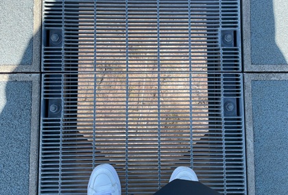 オリオンツアー 【静岡・神奈川】富士を望む箱根・三島の旅!絶景の空中散歩「三島スカイウォーク」×パワースポット「箱根神社」&いちご狩り食べ放題 三島スカイウォーク