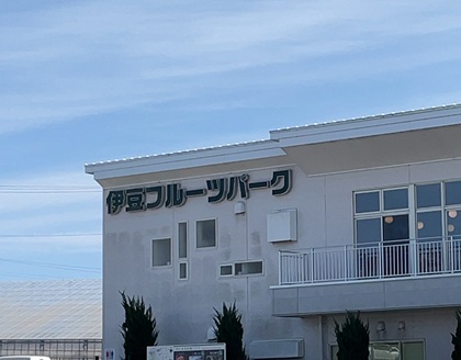 オリオンツアー 【静岡・神奈川】富士を望む箱根・三島の旅!絶景の空中散歩「三島スカイウォーク」×パワースポット「箱根神社」&いちご狩り食べ放題 伊豆フルーツパーク 昼食