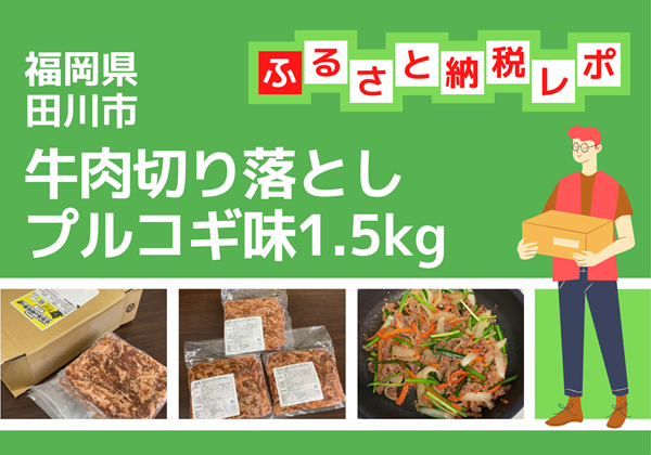 福岡県田川市 ふるさと納税 返礼品 牛肉切り落としプルコギ味500g×3パック トライアル