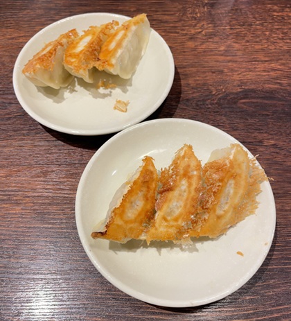 宇都宮餃子 典満餃子 餃子3点ハーフセット 焼餃子