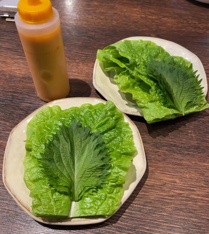 宇都宮餃子 典満餃子 餃子3点ハーフセット つつみ菜