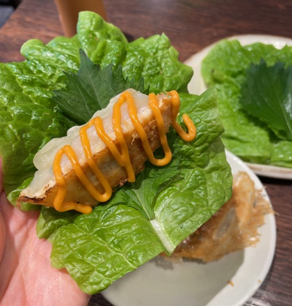 宇都宮餃子 典満餃子 餃子3点ハーフセット つつみ菜で焼餃子を包む